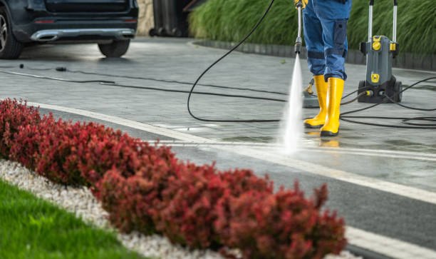 Best House Exterior Washing  in Cayuga Heights, NY